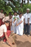 mr-s-k-mohan-general-secretary-mnu-planting-sapling-112th-kamarajar-birthday-competition-prize-distrubution-function-on-25-07-2014