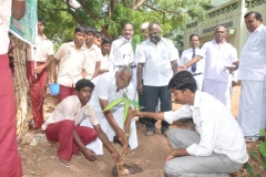 mr-sapapathi-planting-sapling-112th-kamarajar-birthday-competition-prize-distrubution-function-on-25-07-2014